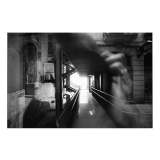 Paul Cooklin, Reflection, 2016, Photograph For Sale