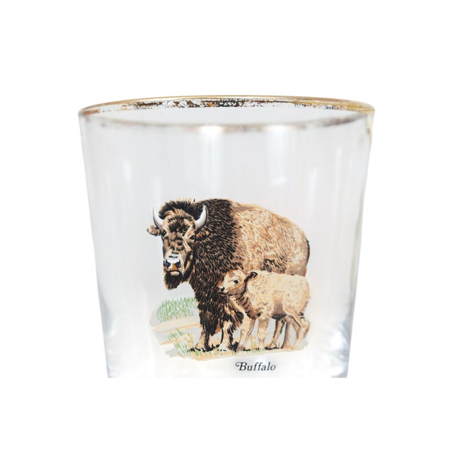 Mid-Century Modern Mid 20th Century American Wildlife Glass Tumblers - Set of 4 For Sale - Image 3 of 6