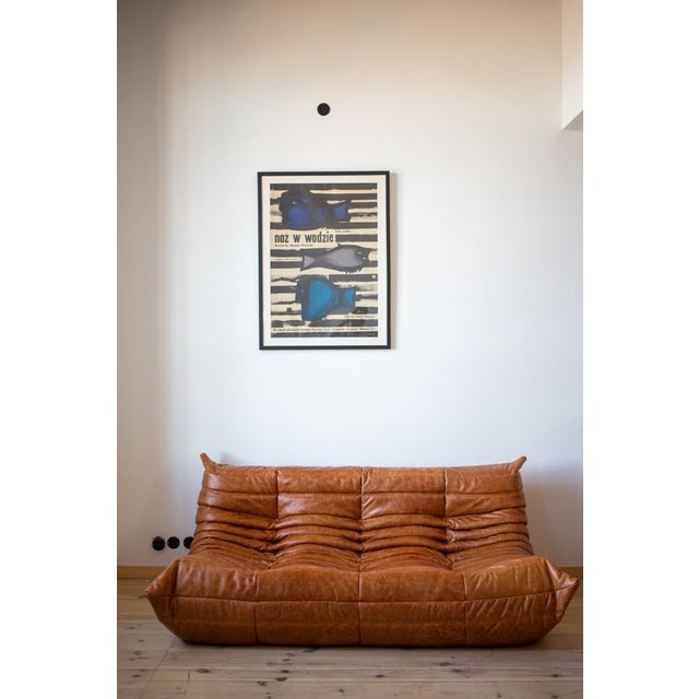 Pine Leather Togo 3-Seater Sofa by Michel Ducaroy for Ligne Roset For Sale - Image 3 of 5