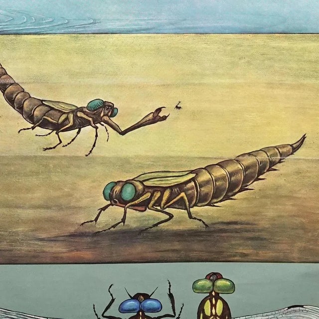 1970s Vintage Mural Blue Dragonfly Poster by Jung Koch Quentell, 1970s For Sale - Image 5 of 8