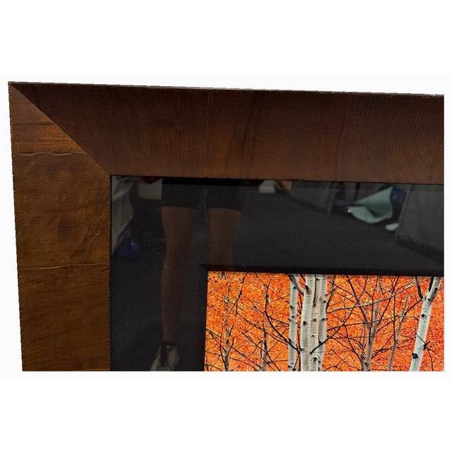 2000 - 2009 Peter Lik “Harmony” — Artist’s Proof Ap 44/45 | Large Framed Fine Art Photograph For Sale - Image 5 of 14