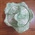 1990s Vintage Mid-Century Modern Fitz & Floyd Lidded Cabbage Majolica Bowl Dish For Sale - Image 5 of 6