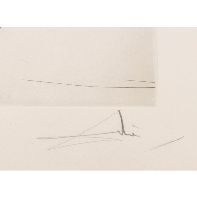 Red Salvador Dali "Gladiolus (Ears)" Etchings, 1972 For Sale - Image 8 of 12