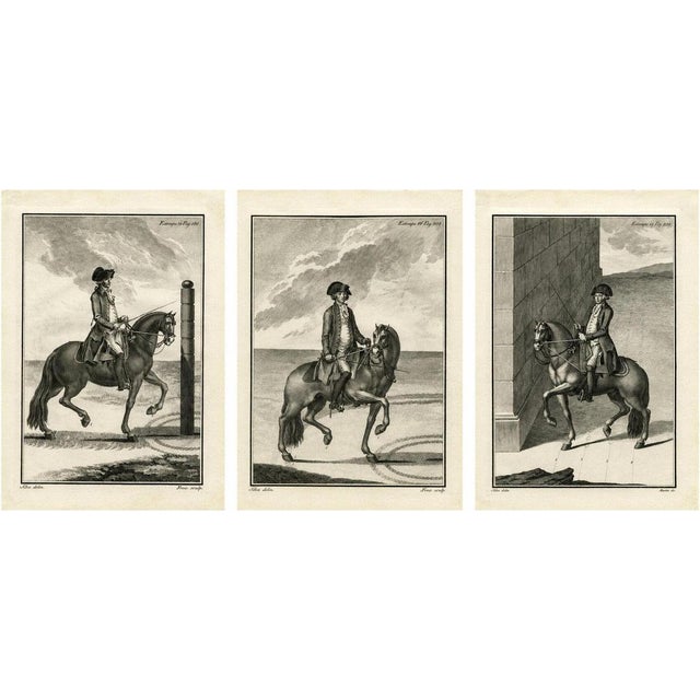 Gaspar Fróis Machado, Dressage and Piaffe, 1790, Engraving, Set of 3 For Sale - Image 15 of 15