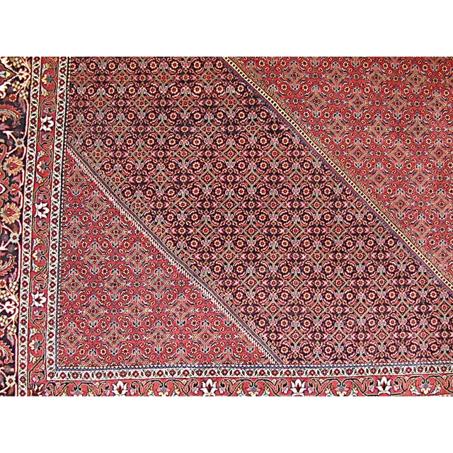 Bidjar Tekab Rug, 1990s For Sale - Image 3 of 18