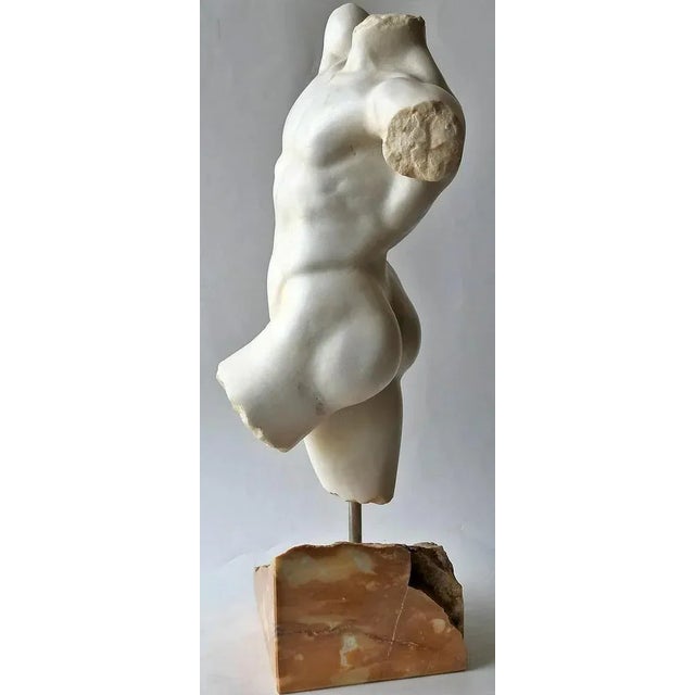 Early 20th Century Italian Torso Carrara Marble For Sale - Image 3 of 7