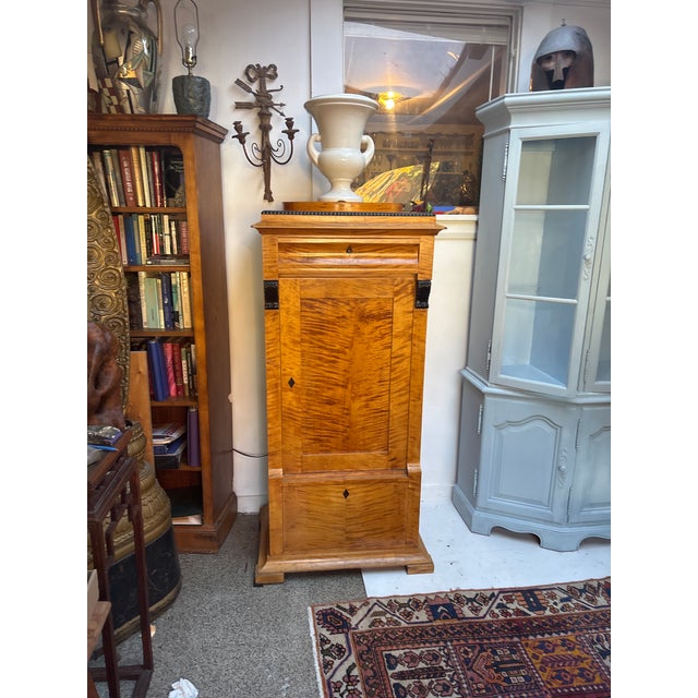 Mid 19th Century Biedermeier Style Tall Cabinet For Sale - Image 9 of 15