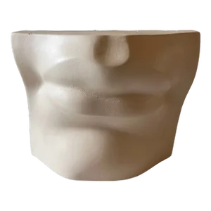Vintage Italian Renaissance Michelangelo's "David" Plaster Mouth
