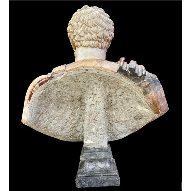 19th Century Italian Varicolored Marble Bust of Roman Emperor For Sale - Image 5 of 12