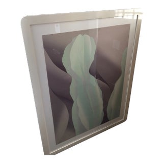 Mid Century Saguaro Cactus Art For Sale