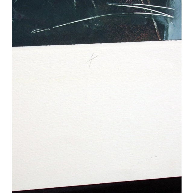 1986 Howard Hersh "Nature's Way #5" Signed Abstract Monotype Print For Sale In Denver - Image 6 of 9