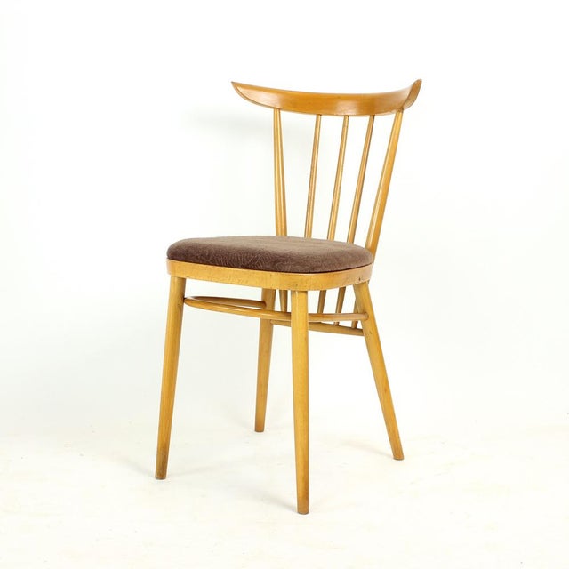 Dining Chairs from Tatra, Former Czechoslovakia, 1960s, Set of 4 For Sale - Image 4 of 11