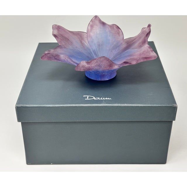 1990s Daum France Amaryllis Amethyst Pate De Verre Crystal Vide-Poche Bowl Signed in Original Box For Sale - Image 5 of 14