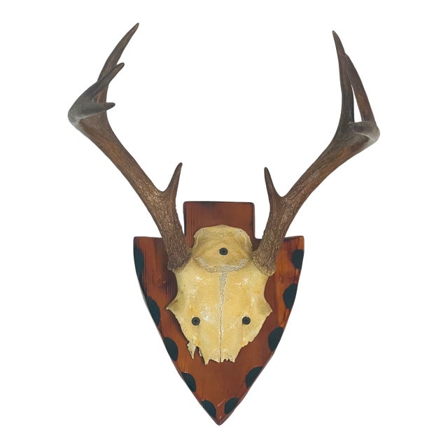 Vintage Roe Deer Antlers 8 Points on Wood Board For Sale