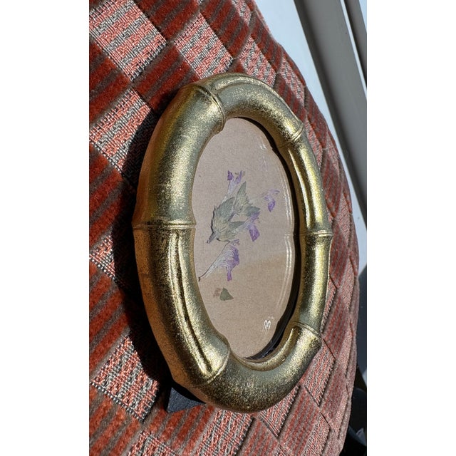 Mid-Century Modern Vintage Miniature Botanical Flower Specimen, Framed For Sale - Image 3 of 3