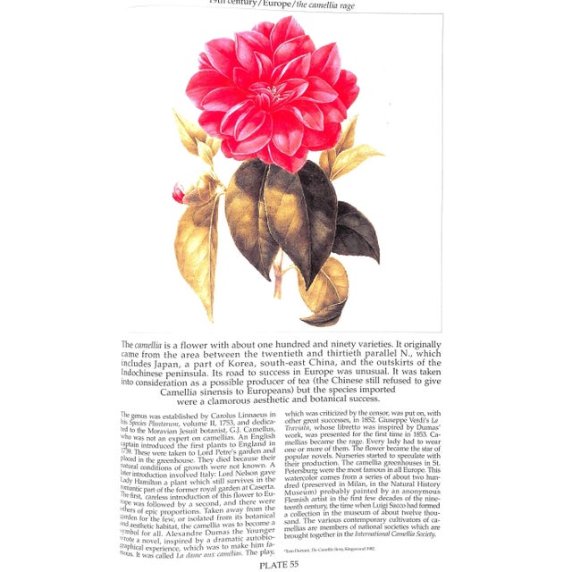 "European Gardens: An Historical Atlas" Book 1990 Vercelloni, Virgilio For Sale - Image 4 of 9