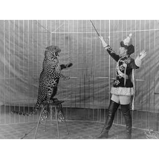 Late 19th-C. Cat Tamer Circus Photography For Sale