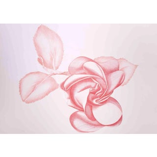 Giacomo Porzano, Red Rose, Original Etching, 1970s For Sale