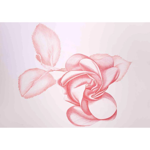 Giacomo Porzano, Red Rose, Original Etching, 1970s For Sale