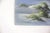 Cabin Vintage Oil Painting, Seascape Beach Scene, Unframed Muted, Natural Colours, Sand Dunes, Waves, Seagulls Pampas Grass, Beach House Decor Art For Sale - Image 3 of 9