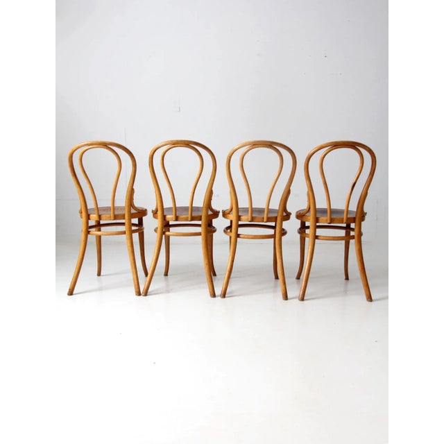 Brown Antique Thonet Bentwood Chairs Set of 4 For Sale - Image 8 of 13