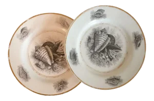 1810 - 1820 English Regency Worcester Flight Barr Bat Printed Sea Shell Plates - A Pair