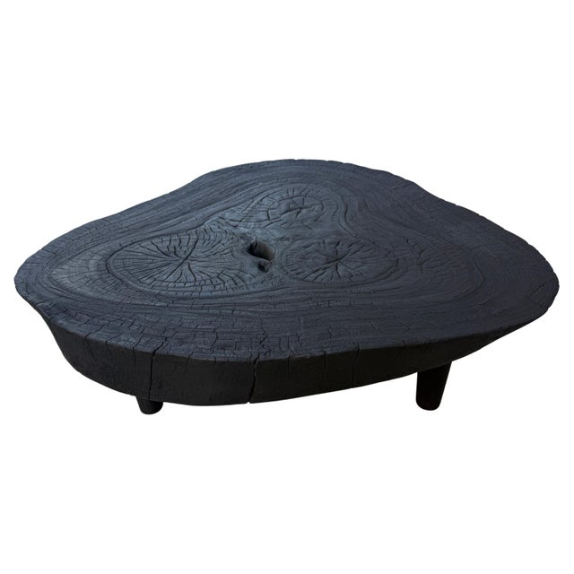 2010s Andrianna Shamaris Amorphous Single Slab Mid Century Modern Coffee Table For Sale - Image 5 of 18