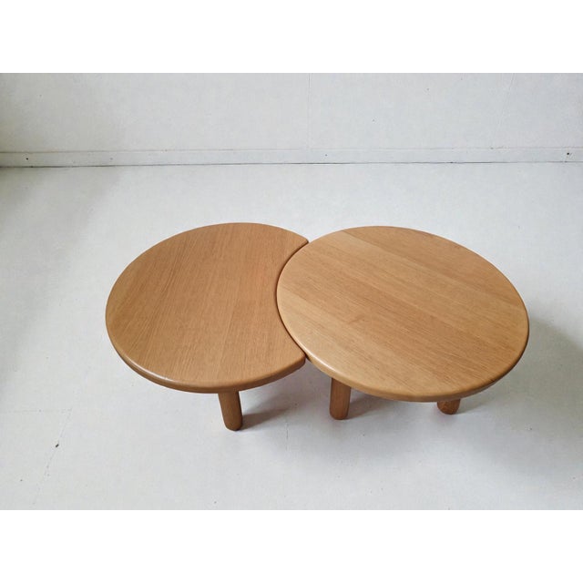 Redureau Organic Coffee Table Set, 2000s, Set of 2 For Sale - Image 4 of 12
