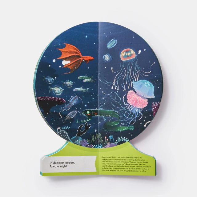 Paper Our Underwater World a First Dive Into Oceans, Lakes, and Rivers Book For Sale - Image 7 of 9