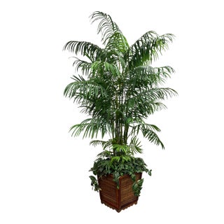 Artificial Areca Palm Tree For Sale