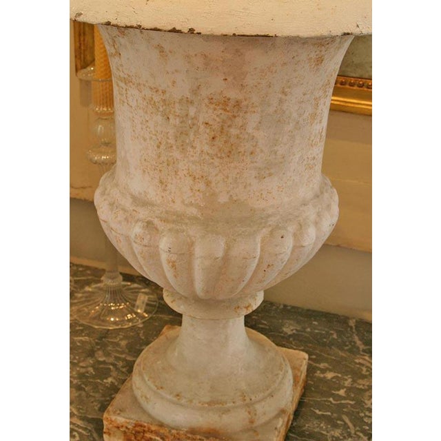 Early 19th Century 19th C Cast Iron Urn Jardinere For Sale - Image 5 of 5