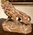 Italian Artist, Large Lion, 19th Century, Wood For Sale - Image 17 of 17