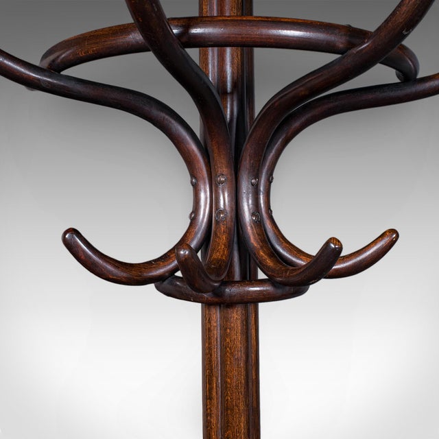 Brown Antique Half Hall Stand, Austrian, Bentwood, Coat Tree, Rack, Thonet, Victorian For Sale - Image 8 of 12