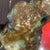 Bronze Abstract Original Woman in Bronze Sculopture by Kahlo For Sale - Image 8 of 9