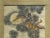 Asian Oriental Scholar Monkeys Ink Brush Color Scroll Painting Wall Art For Sale - Image 3 of 11