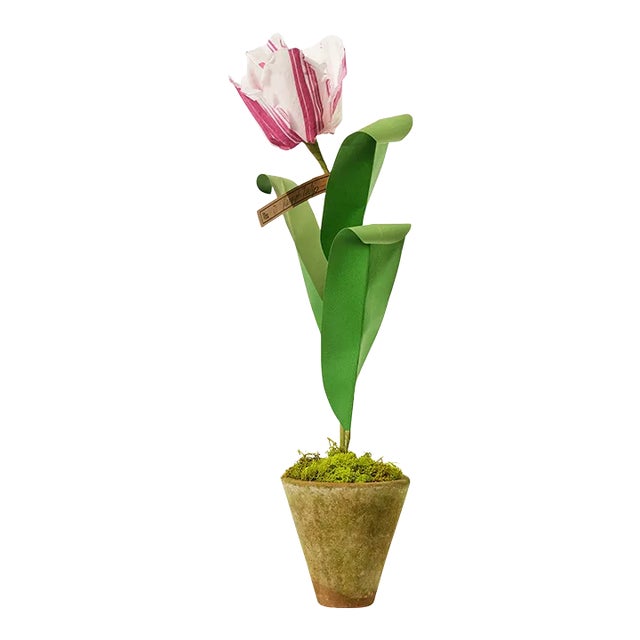 The Green Vase x Chairish Mini Tulip Plant in White with Purple Stripe For Sale