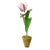 The Green Vase x Chairish Mini Tulip Plant in White with Purple Stripe For Sale
