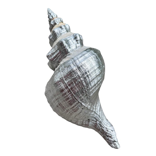 2020s Oversized 14” Silver Leaf Horse Conch Shell Sculpture – Natural Coastal Object, Hand-Finished Organic Luxe Decor For Sale - Image 5 of 7