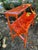 Chinese 1970s High-Gloss Electric Orange Lacquered Mahogany Chinese Chippendale Magazine Stand. For Sale - Image 3 of 11