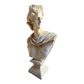 Vintage Large Plaster Bust of Apollo Sculpture Greek and Roman Statue For Sale