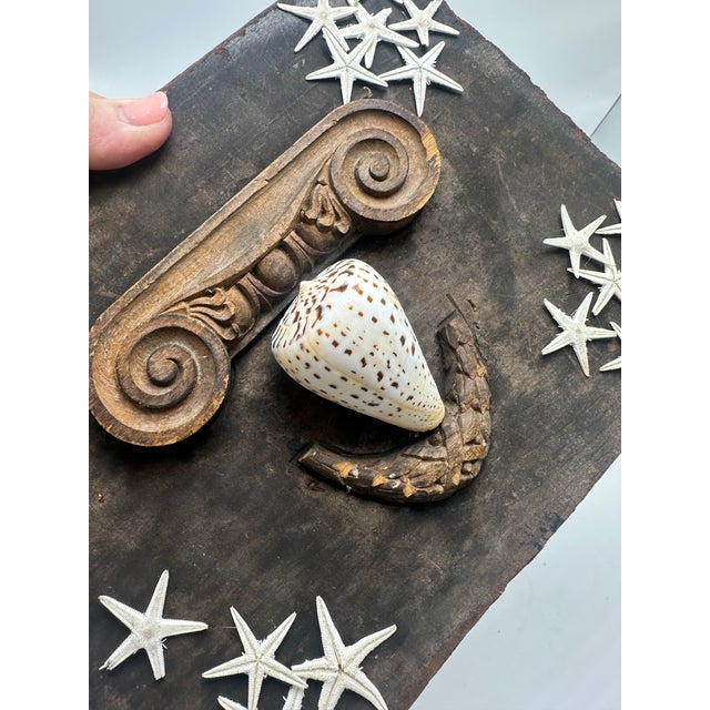 1940s Vintage Shell Art For Sale - Image 5 of 7