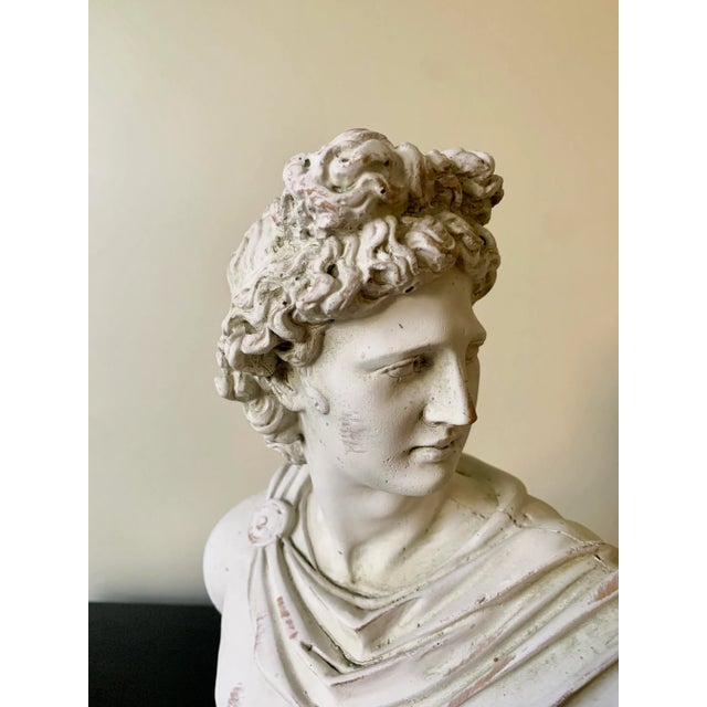 A gorgeous cast plaster Neoclassical Grand Tour style male head bust of the mythological god Apollo Belvedere sculpture...