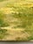 Antique 19th-Century French Impressionist Landscape Oil Painting Sunlit Forest For Sale - Image 15 of 18