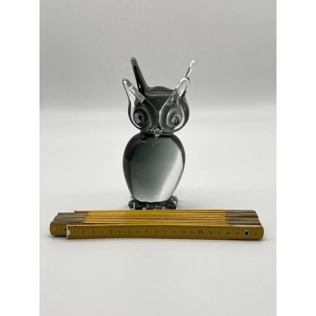 Murano Glass Owl Figurine by Vincenzo Nason, Italy, 1970s For Sale - Image 5 of 8