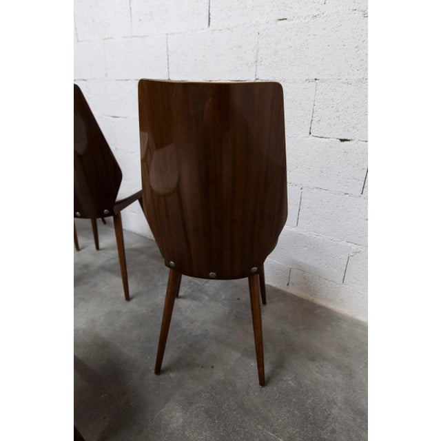 Baumann Chairs Model 840 G2s in Varnished Mahogany Finish, 1963, Set of 6 For Sale - Image 11 of 18