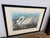 Design Plus Gallery presents the Common American Swan Original Lithograph Print from The Birds of America Collection by...