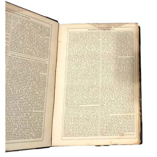 Paper 6 Antique Volumes Chamber's Journals Leather Spines Edinburgh Scotland 1840s History Fiction Poetry For Sale - Image 7 of 16