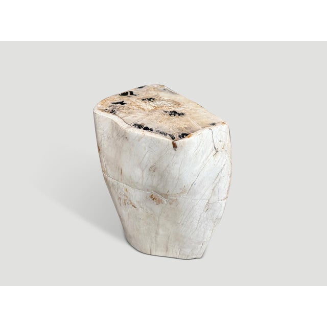 Andrianna Shamaris Multifaceted Modern Organic Petrified Wood Side Table For Sale In New York - Image 6 of 6