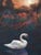 Atmospheric original oil pastel landscape signed Calliopy Issackides, depicting a solitary white swan gliding across a...