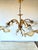 Florentine Style Gilt Metal Chandelier with Amber-Tinted Glass Shades, 1960s For Sale - Image 9 of 13